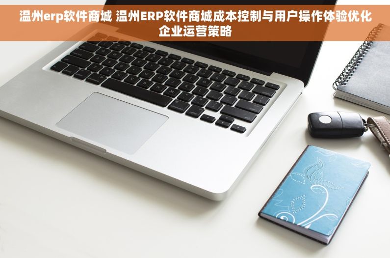 温州erp软件商城 温州ERP软件商城成本控制与用户操作体验优化企业运营策略