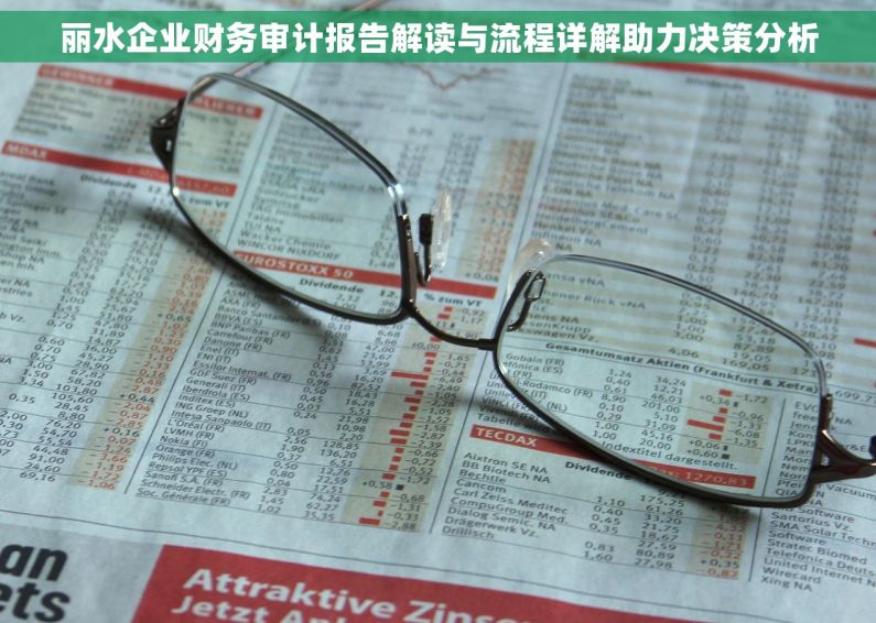 丽水企业财务审计报告解读与流程详解助力决策分析