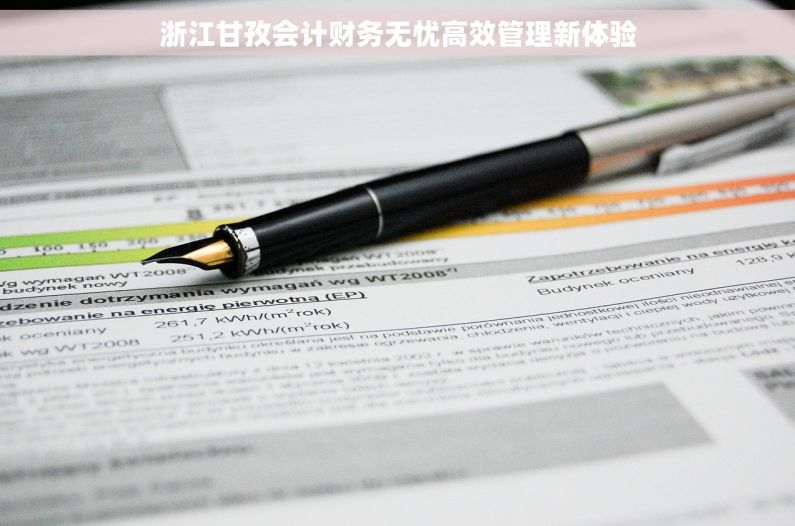 浙江甘孜会计财务无忧高效管理新体验