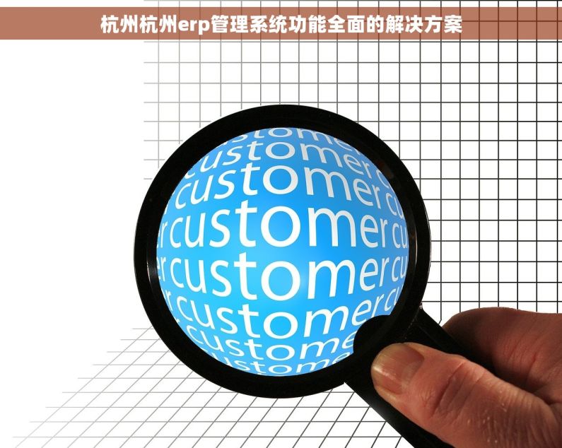 杭州杭州erp管理系统功能全面的解决方案