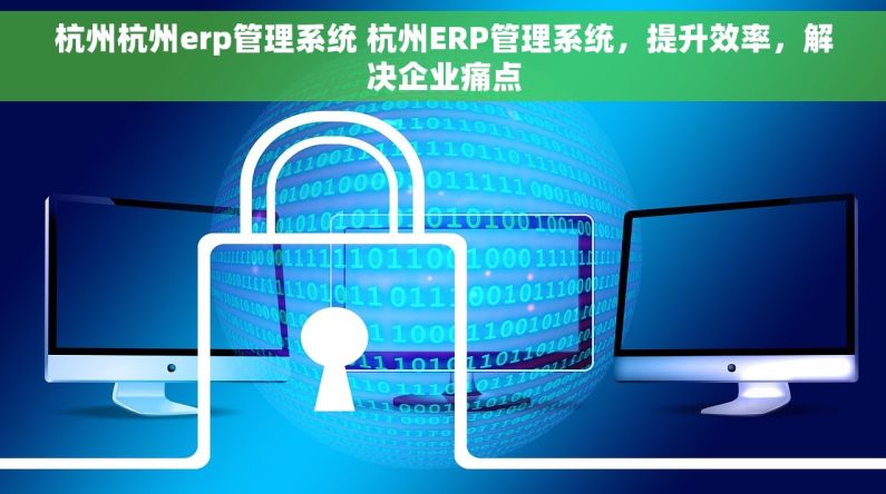 杭州杭州erp管理系统 杭州ERP管理系统，提升效率，解决企业痛点