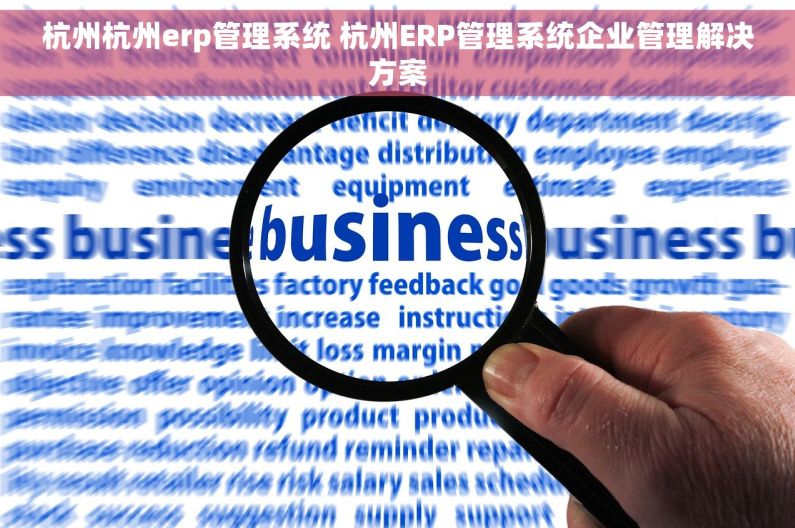 杭州杭州erp管理系统 杭州ERP管理系统企业管理解决方案