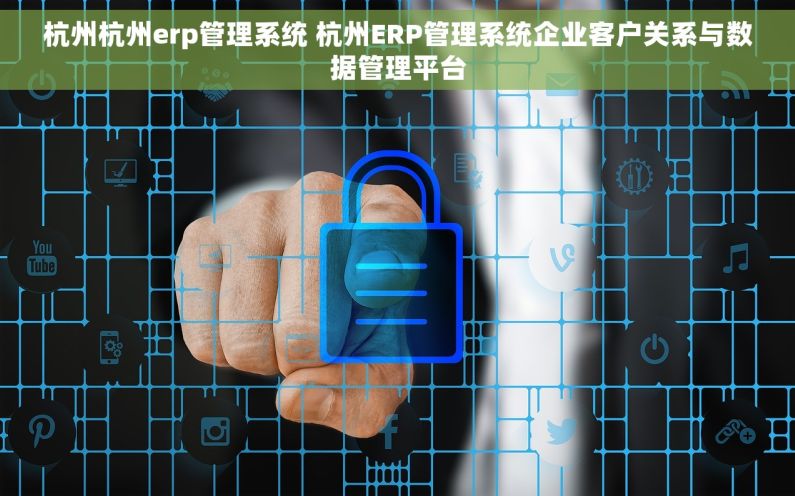 杭州杭州erp管理系统 杭州ERP管理系统企业客户关系与数据管理平台