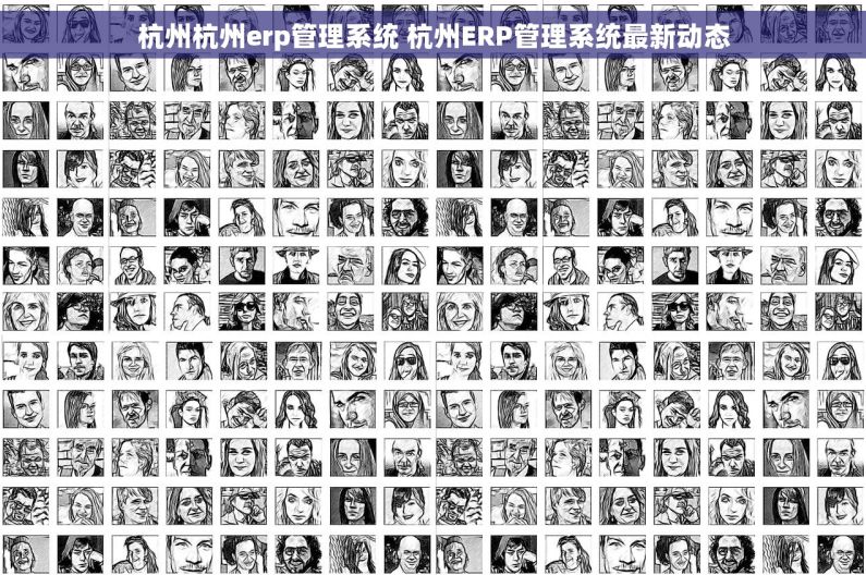 杭州杭州erp管理系统 杭州ERP管理系统最新动态