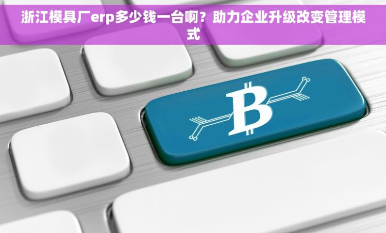 浙江模具厂erp多少钱一台啊？助力企业升级改变管理模式