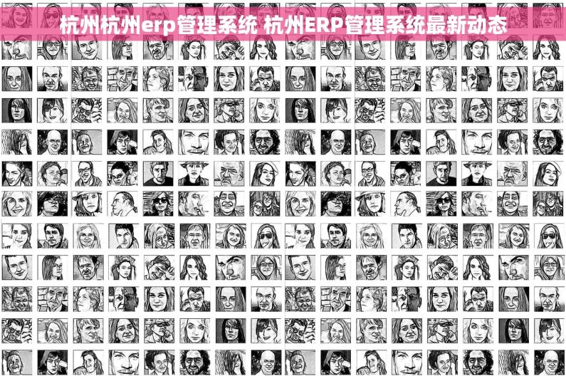 杭州杭州erp管理系统 杭州ERP管理系统最新动态