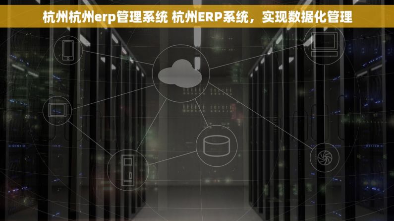 杭州杭州erp管理系统 杭州ERP系统，实现数据化管理