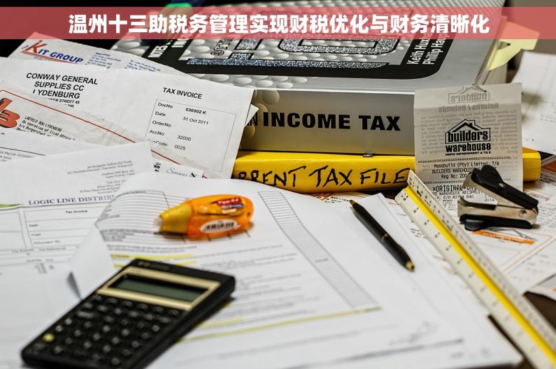 温州十三助税务管理实现财税优化与财务清晰化