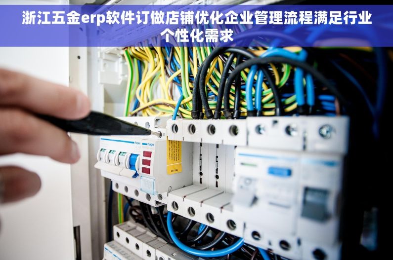 浙江五金erp软件订做店铺优化企业管理流程满足行业个性化需求