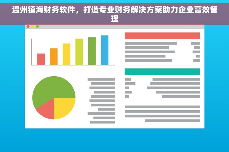 温州镇海财务软件，打造专业财务解决方案助力企业高效管理