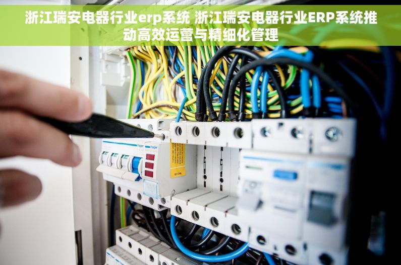 浙江瑞安电器行业erp系统 浙江瑞安电器行业ERP系统推动高效运营与精细化管理