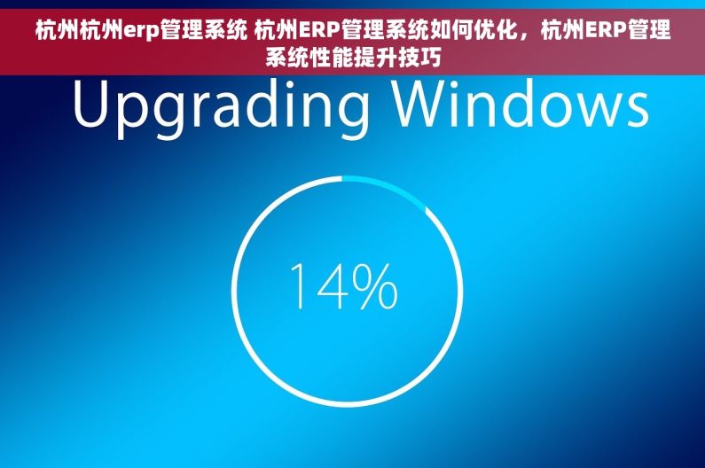 杭州杭州erp管理系统 杭州ERP管理系统如何优化，杭州ERP管理系统性能提升技巧