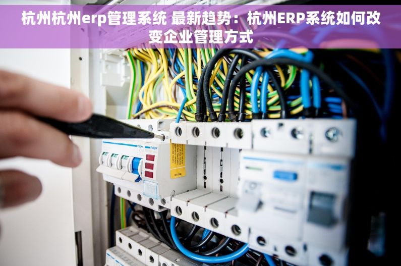杭州杭州erp管理系统 最新趋势：杭州ERP系统如何改变企业管理方式