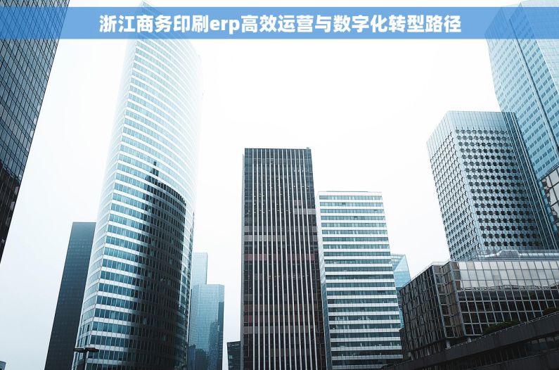 浙江商务印刷erp高效运营与数字化转型路径