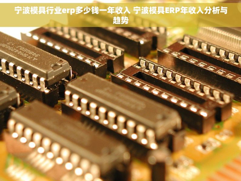 宁波模具行业erp多少钱一年收入 宁波模具ERP年收入分析与趋势
