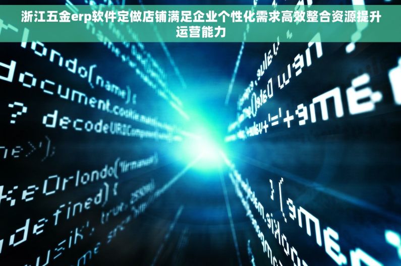 浙江五金erp软件定做店铺满足企业个性化需求高效整合资源提升运营能力