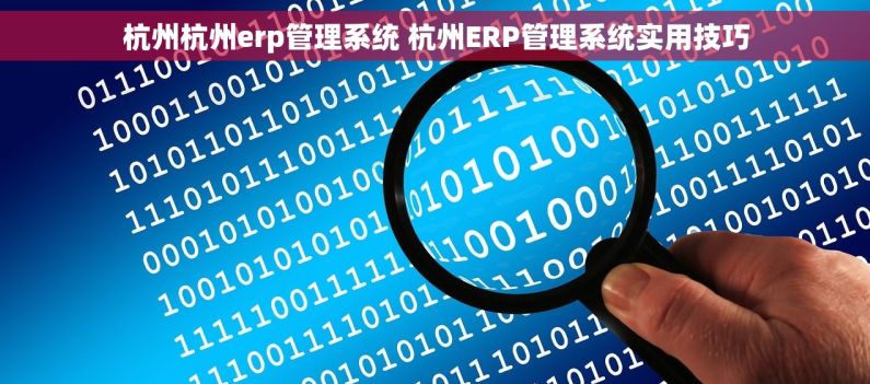 杭州杭州erp管理系统 杭州ERP管理系统实用技巧