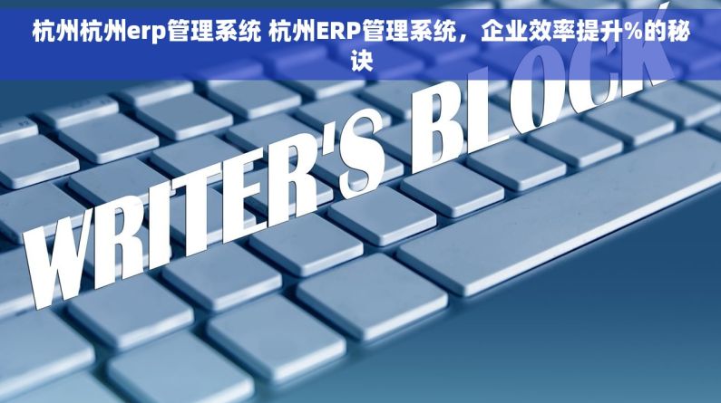 杭州杭州erp管理系统 杭州ERP管理系统，企业效率提升%的秘诀