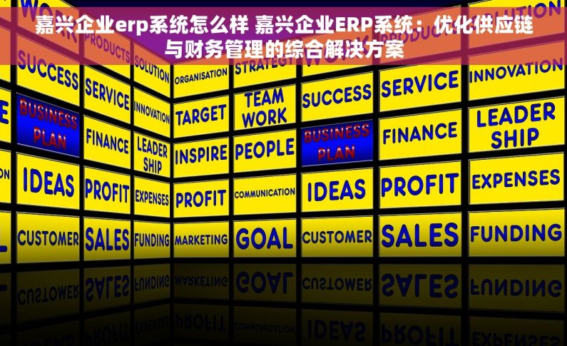 嘉兴企业erp系统怎么样 嘉兴企业ERP系统：优化供应链与财务管理的综合解决方案