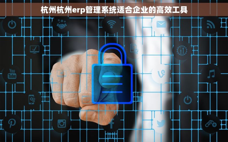 杭州杭州erp管理系统适合企业的高效工具