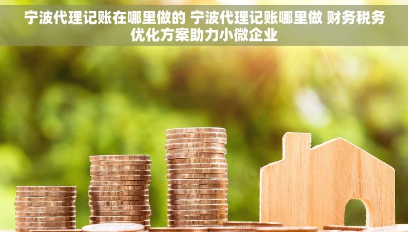 宁波代理记账在哪里做的 宁波代理记账哪里做 财务税务优化方案助力小微企业