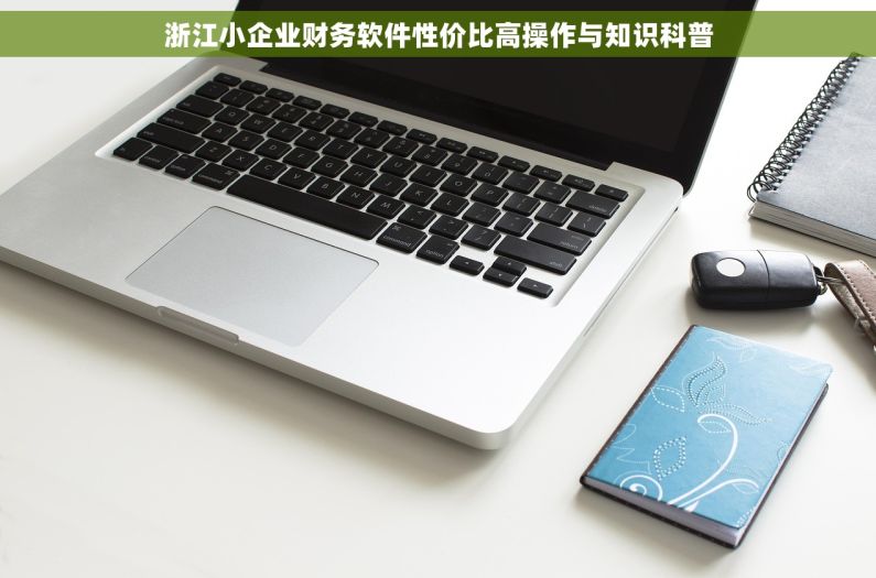 浙江小企业财务软件性价比高操作与知识科普