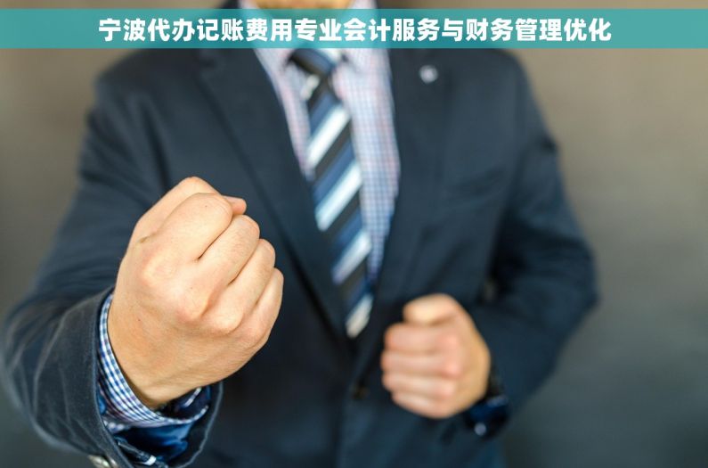宁波代办记账费用专业会计服务与财务管理优化