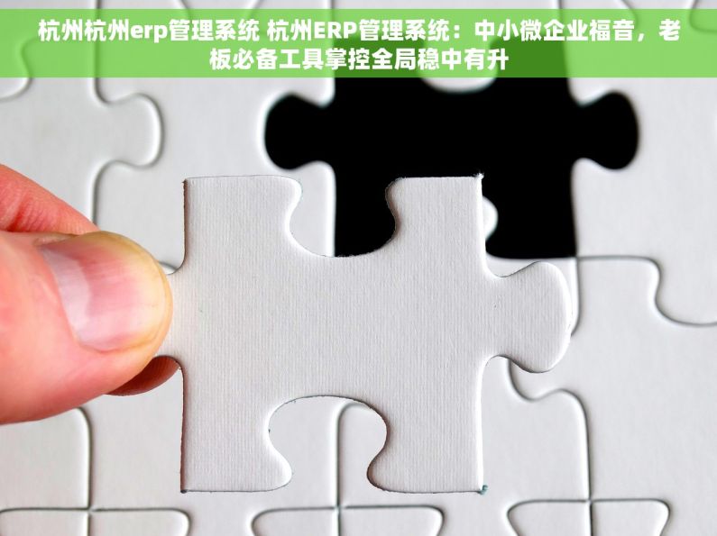杭州杭州erp管理系统 杭州ERP管理系统：中小微企业福音，老板必备工具掌控全局稳中有升