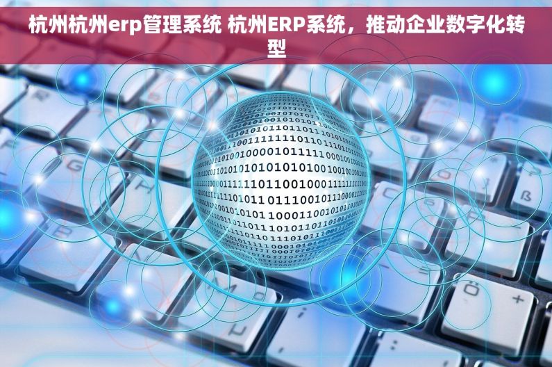 杭州杭州erp管理系统 杭州ERP系统，推动企业数字化转型