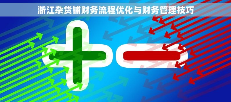 浙江杂货铺财务流程优化与财务管理技巧