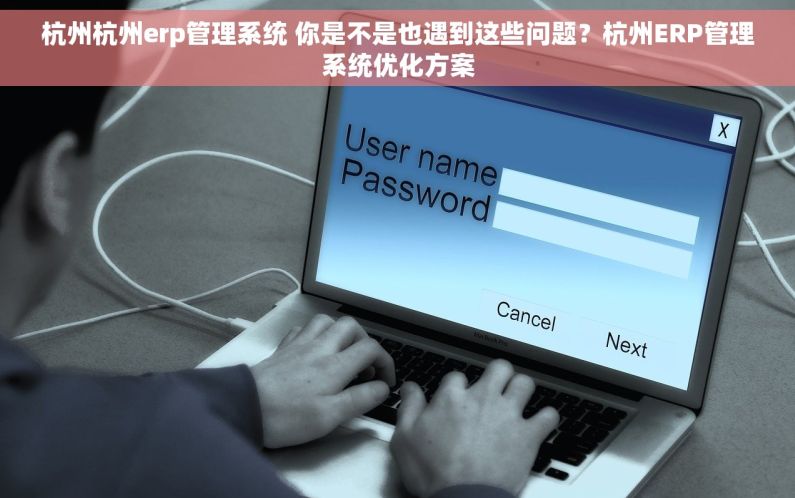杭州杭州erp管理系统 你是不是也遇到这些问题？杭州ERP管理系统优化方案