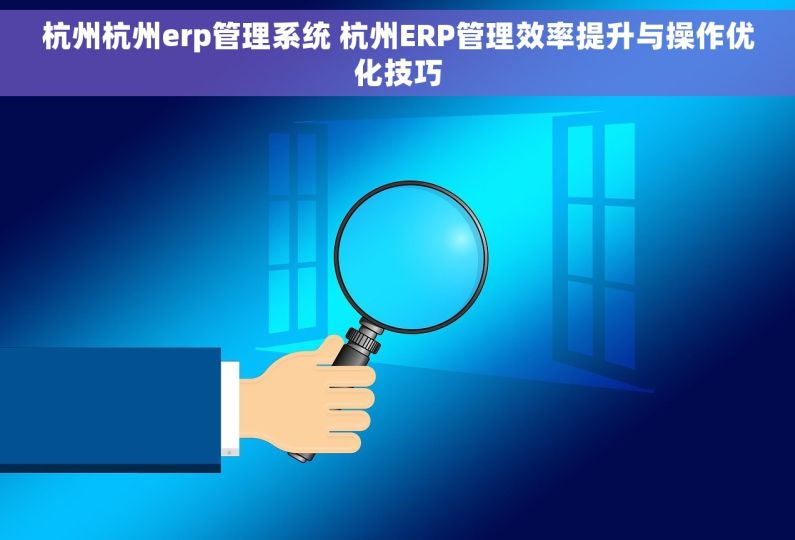 杭州杭州erp管理系统 杭州ERP管理效率提升与操作优化技巧