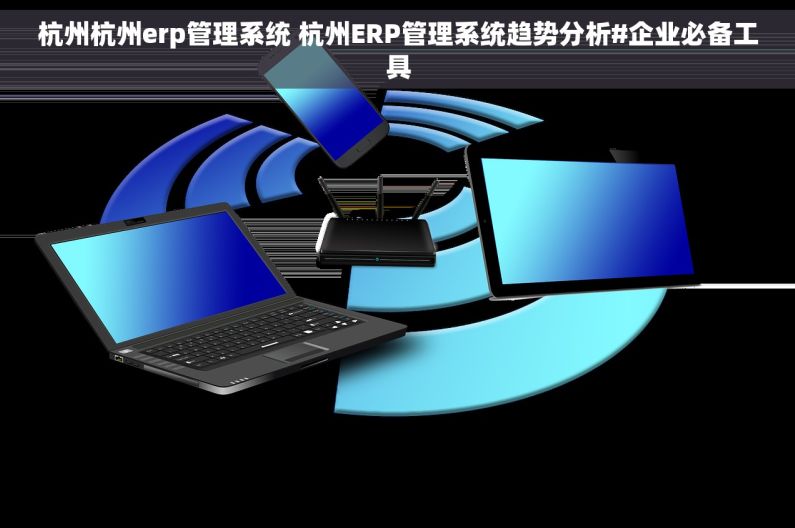 杭州杭州erp管理系统 杭州ERP管理系统趋势分析#企业必备工具
