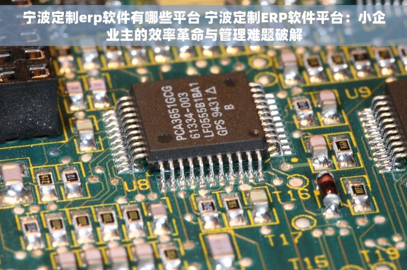 宁波定制erp软件有哪些平台 宁波定制ERP软件平台：小企业主的效率革命与管理难题破解