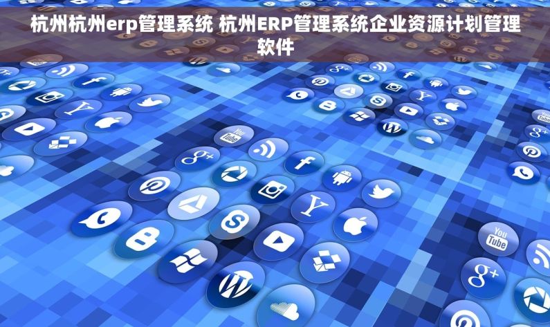 杭州杭州erp管理系统 杭州ERP管理系统企业资源计划管理软件
