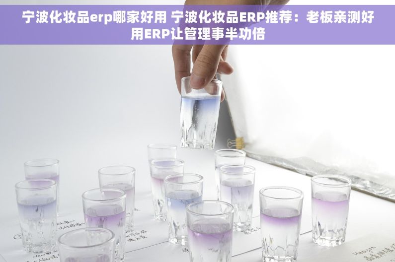 宁波化妆品erp哪家好用 宁波化妆品ERP推荐：老板亲测好用ERP让管理事半功倍