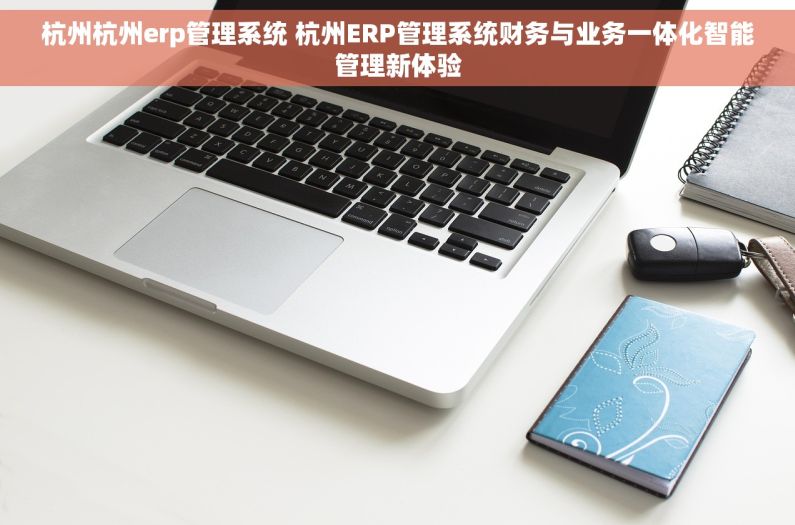 杭州杭州erp管理系统 杭州ERP管理系统财务与业务一体化智能管理新体验