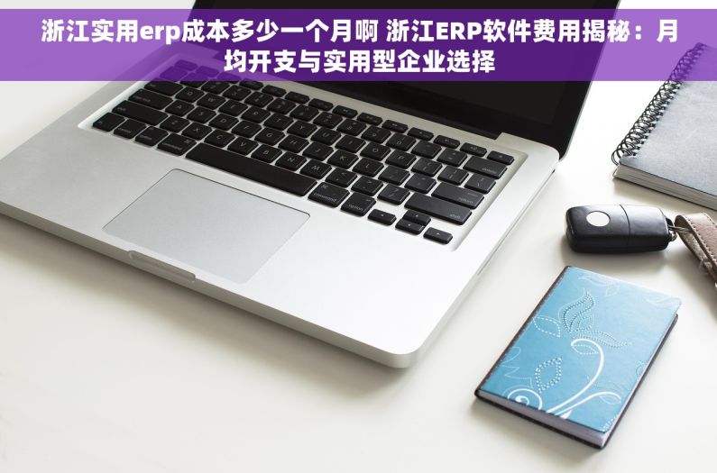 浙江实用erp成本多少一个月啊 浙江ERP软件费用揭秘：月均开支与实用型企业选择