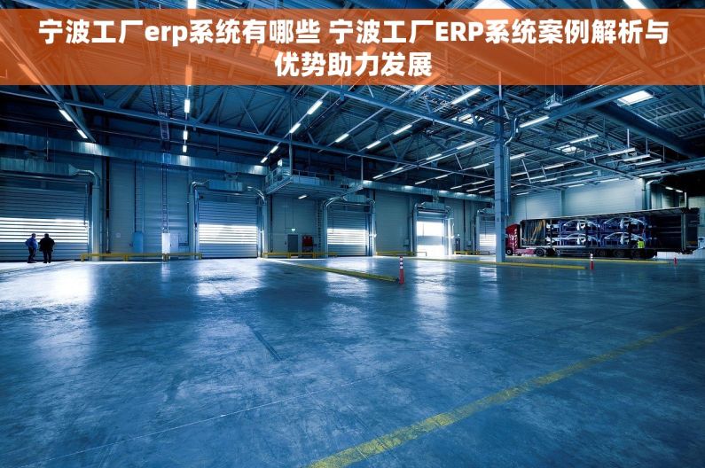 宁波工厂erp系统有哪些 宁波工厂ERP系统案例解析与优势助力发展