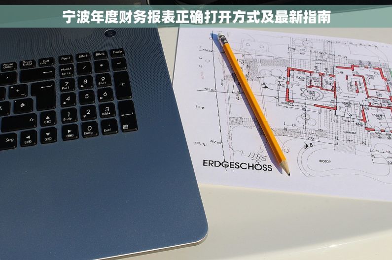 宁波年度财务报表正确打开方式及最新指南