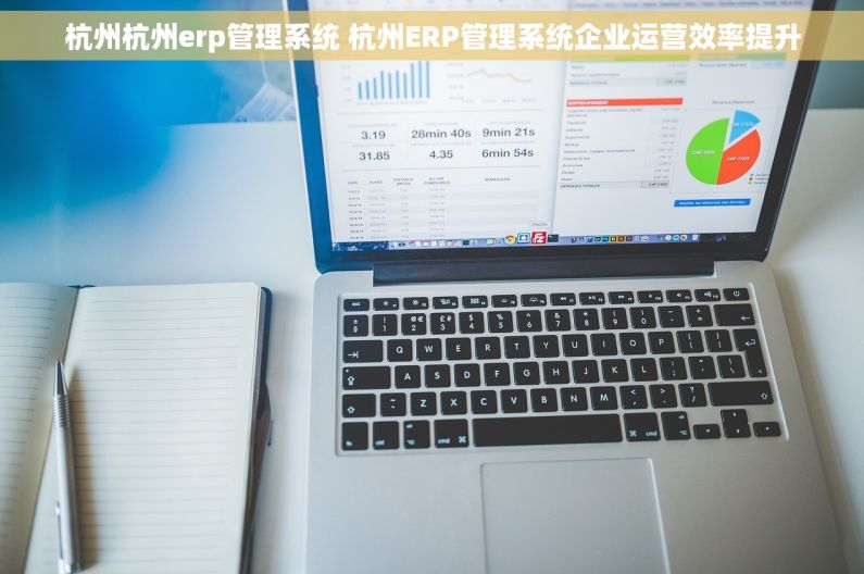 杭州杭州erp管理系统 杭州ERP管理系统企业运营效率提升