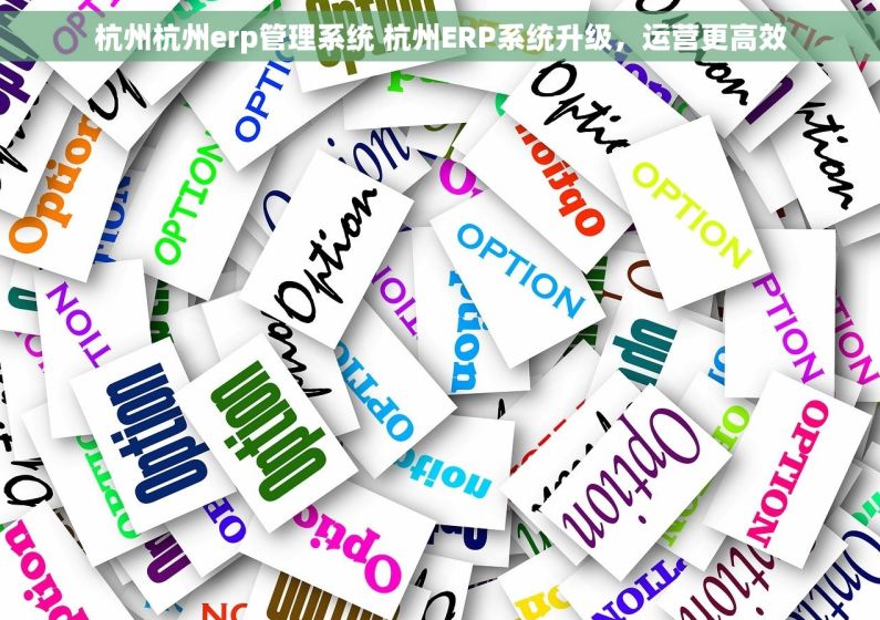 杭州杭州erp管理系统 杭州ERP系统升级，运营更高效