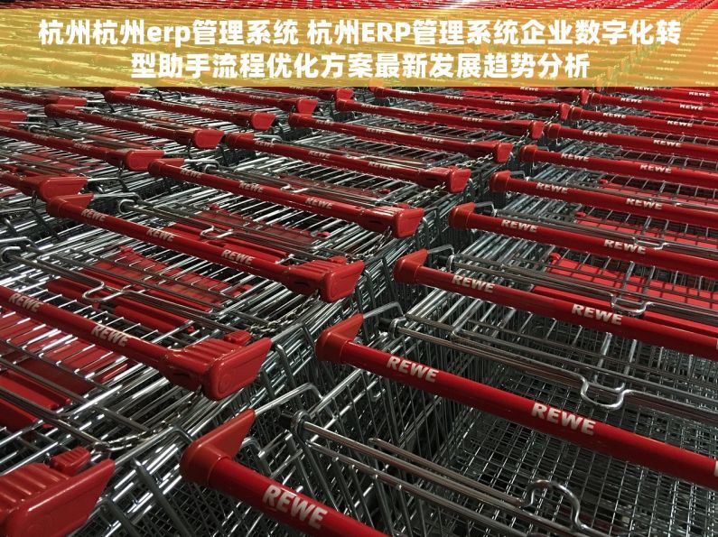 杭州杭州erp管理系统 杭州ERP管理系统企业数字化转型助手流程优化方案最新发展趋势分析