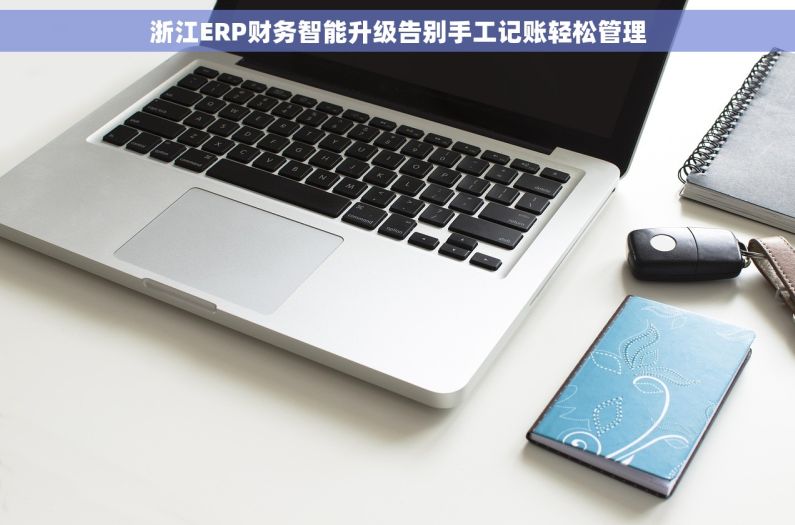 浙江ERP财务智能升级告别手工记账轻松管理