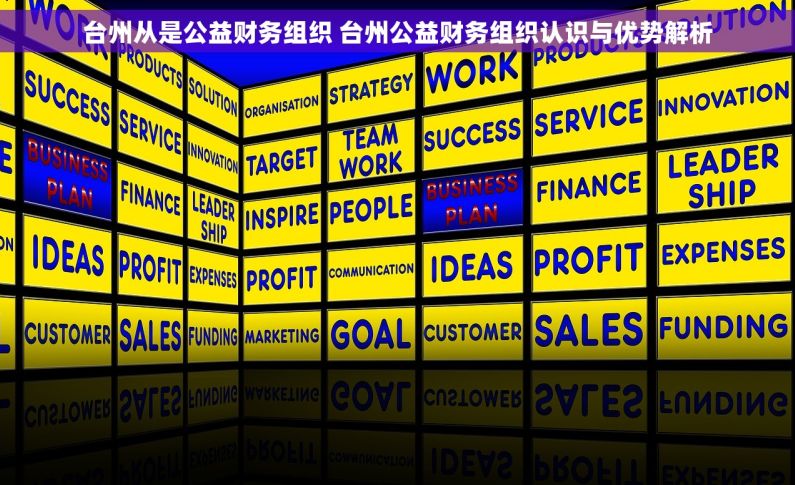 台州从是公益财务组织 台州公益财务组织认识与优势解析