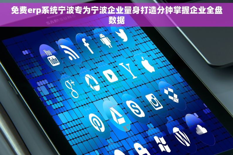 免费erp系统宁波专为宁波企业量身打造分钟掌握企业全盘数据