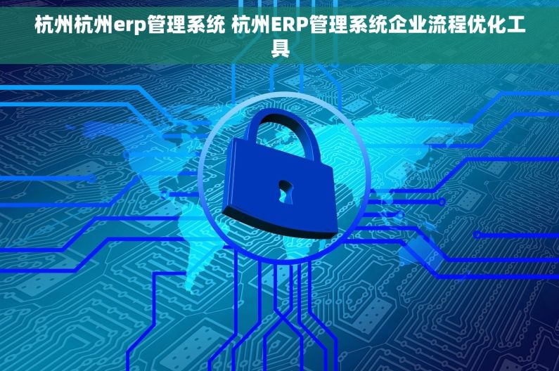 杭州杭州erp管理系统 杭州ERP管理系统企业流程优化工具
