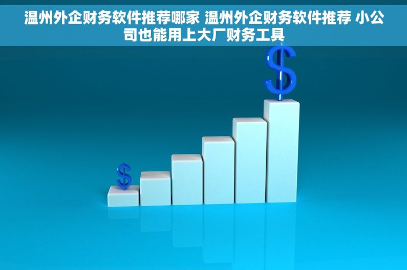温州外企财务软件推荐哪家 温州外企财务软件推荐 小公司也能用上大厂财务工具