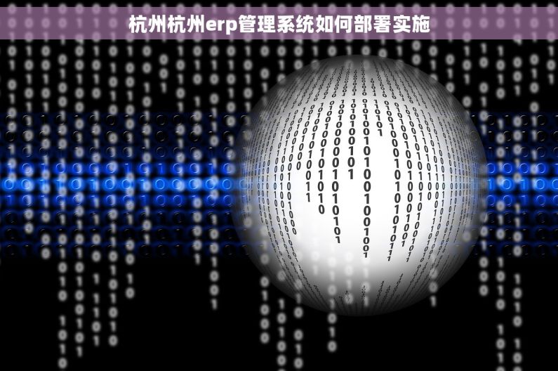 杭州杭州erp管理系统如何部署实施