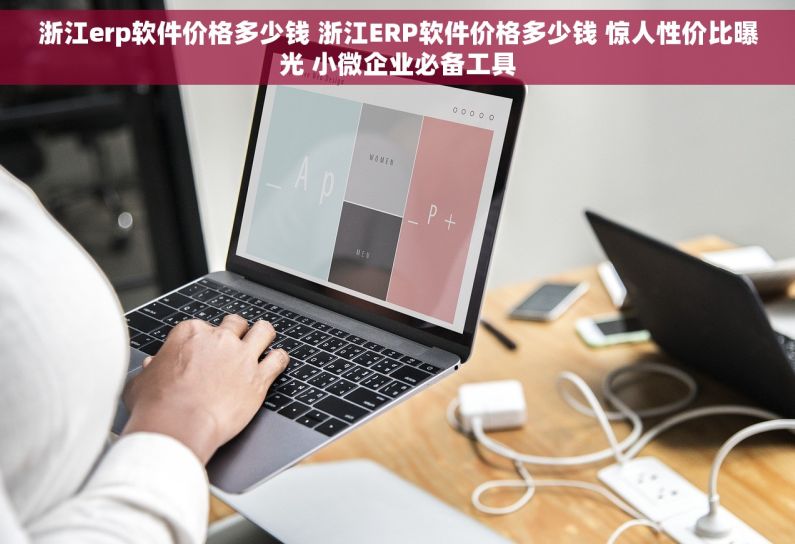 浙江erp软件价格多少钱 浙江ERP软件价格多少钱 惊人性价比曝光 小微企业必备工具